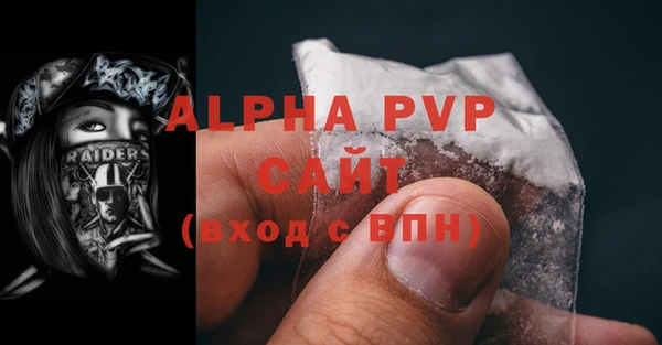 гашик Алексин
