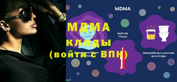 гашик Алексин