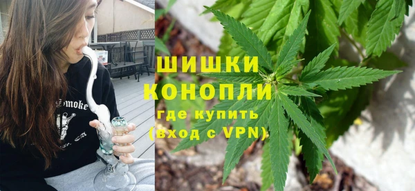 гашик Алексин