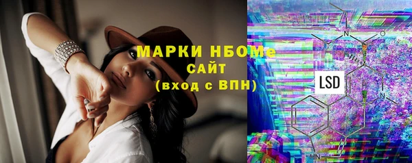гашик Алексин