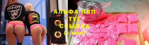 гашик Алексин